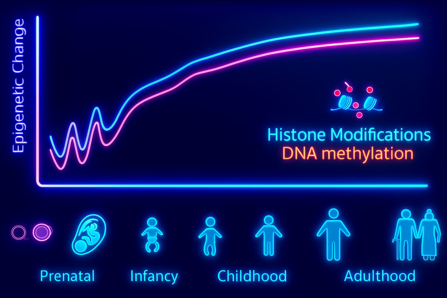 Graph showing age-related epigenetic alterations, including changes in DNA methylation and histone modifications, demonstrating their role in biological aging and the decline of longevity mechanisms
