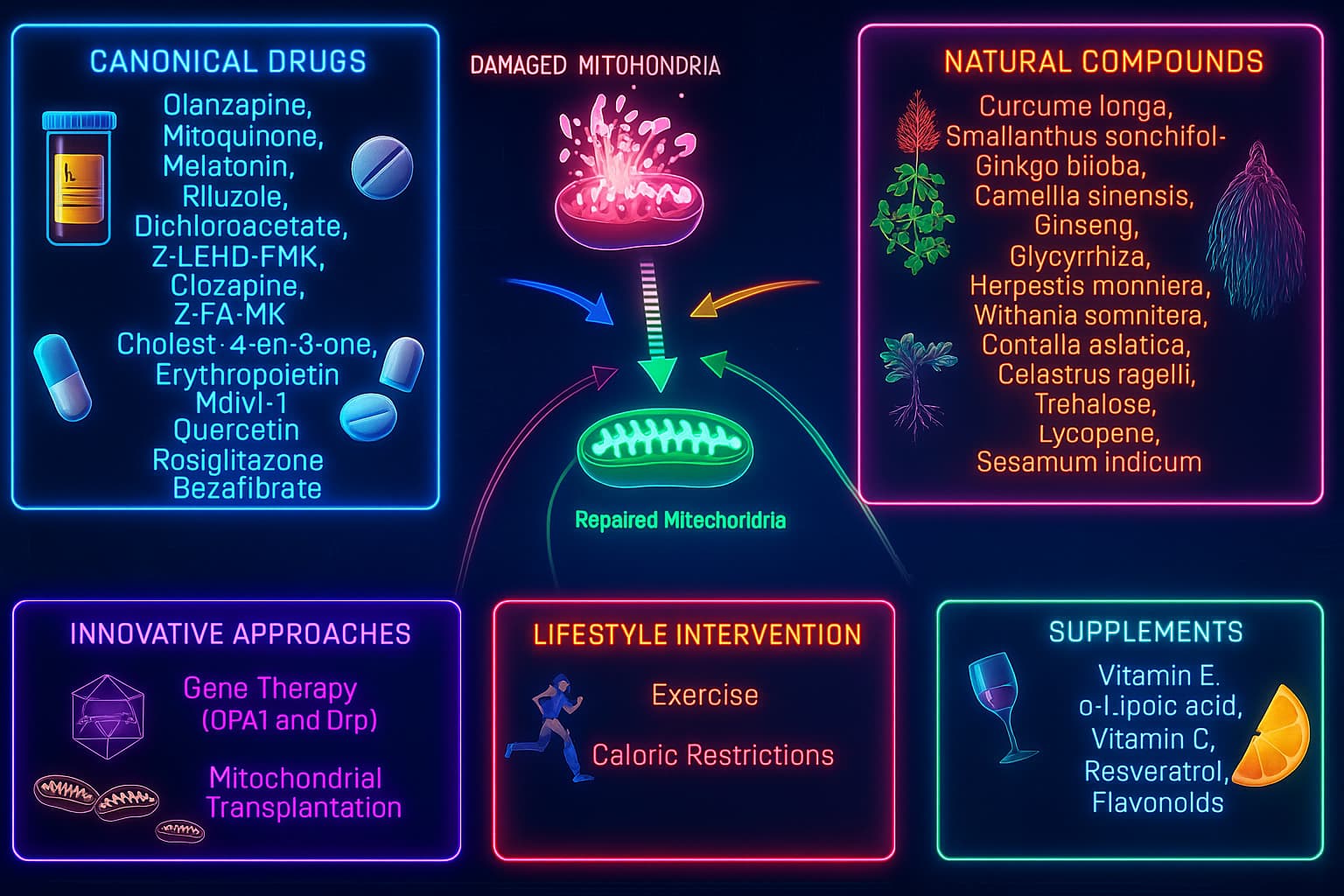 Illustration of mitochondrial treatments supporting cellular energy — including exercise, NAD+ boosters, CoQ10, and polyphenols for improving mitochondrial function and slowing aging.