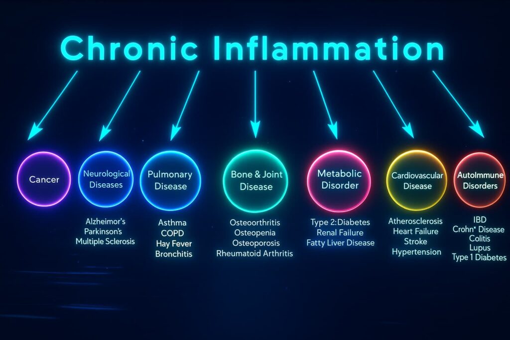 Visual representation of how chronic inflammation accelerates aging — showing damage to the heart, brain, immune system, stem cells, and tissues, highlighting the link between inflammaging and age-related decline.