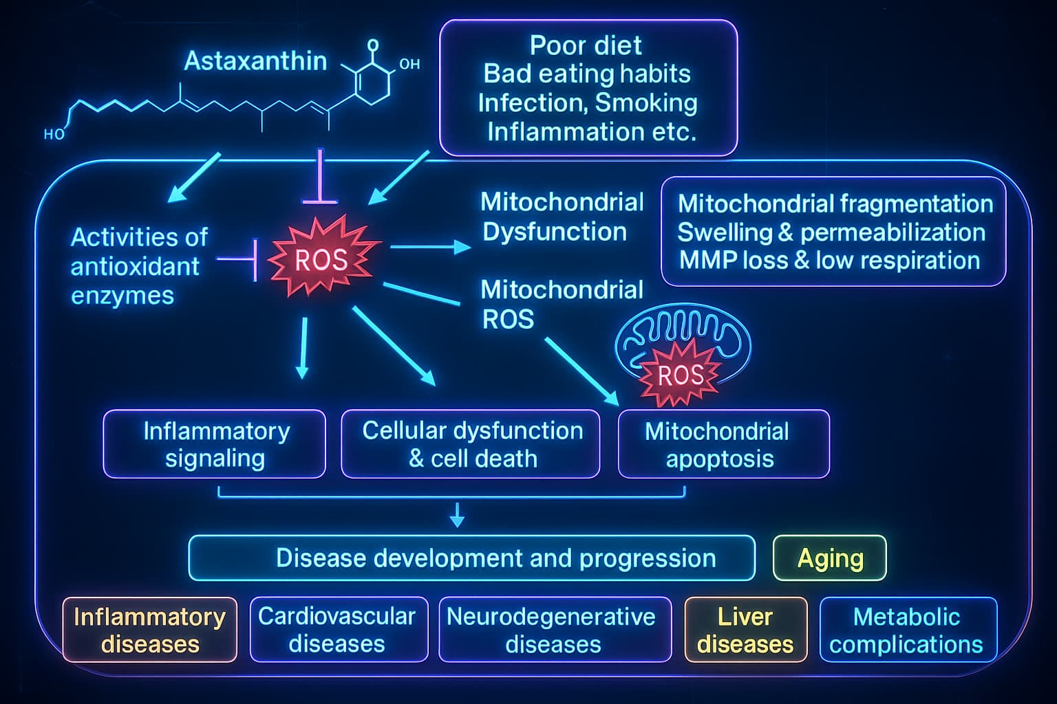 Image showing Astaxanthin protecting cells from oxidative stress and inflammation—one of the strongest natural antioxidants and top longevity supplements for mitochondrial health, cellular resilience, and anti-aging support.