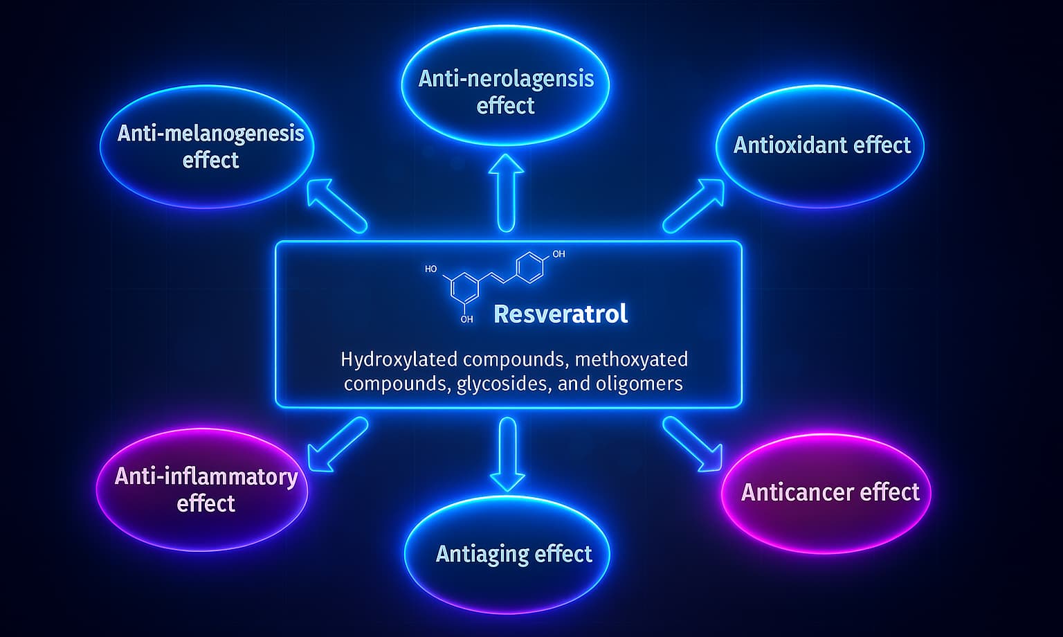 Illustration of Resveratrol activating sirtuins and mimicking caloric restriction—an anti-aging and longevity supplement that supports DNA repair, cellular health, and metabolic resilience.