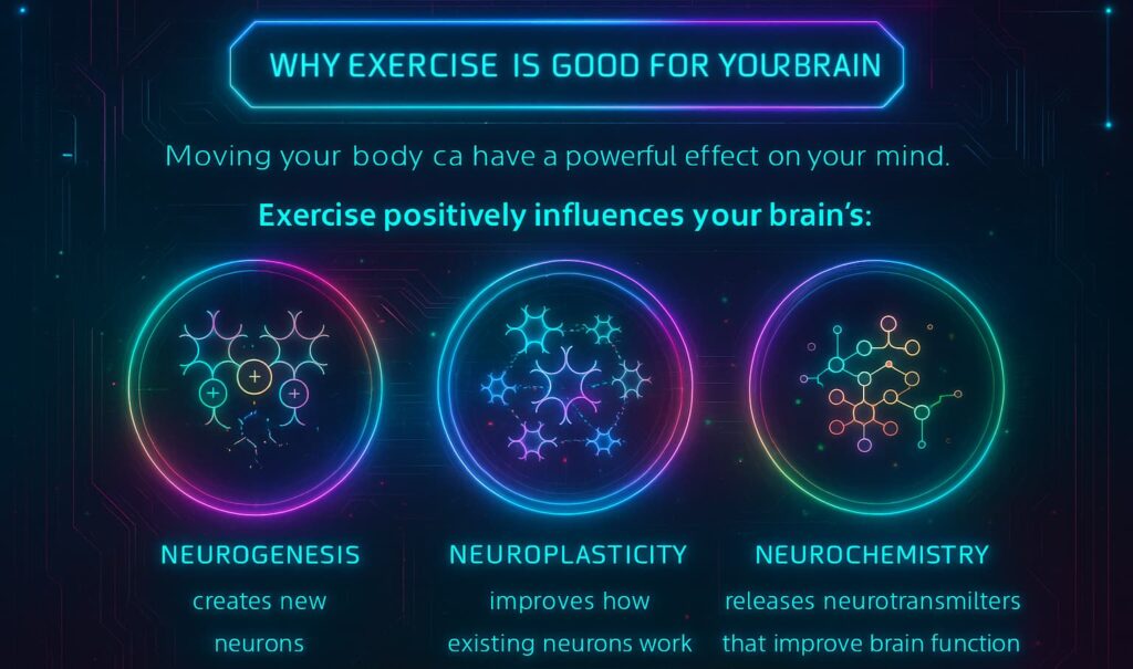 Illustration of how exercise and aging influence brain health, showing the benefits of health and fitness, anti-aging exercises for longevity, and workout and longevity routines that boost cognitive function and protect neurons.
